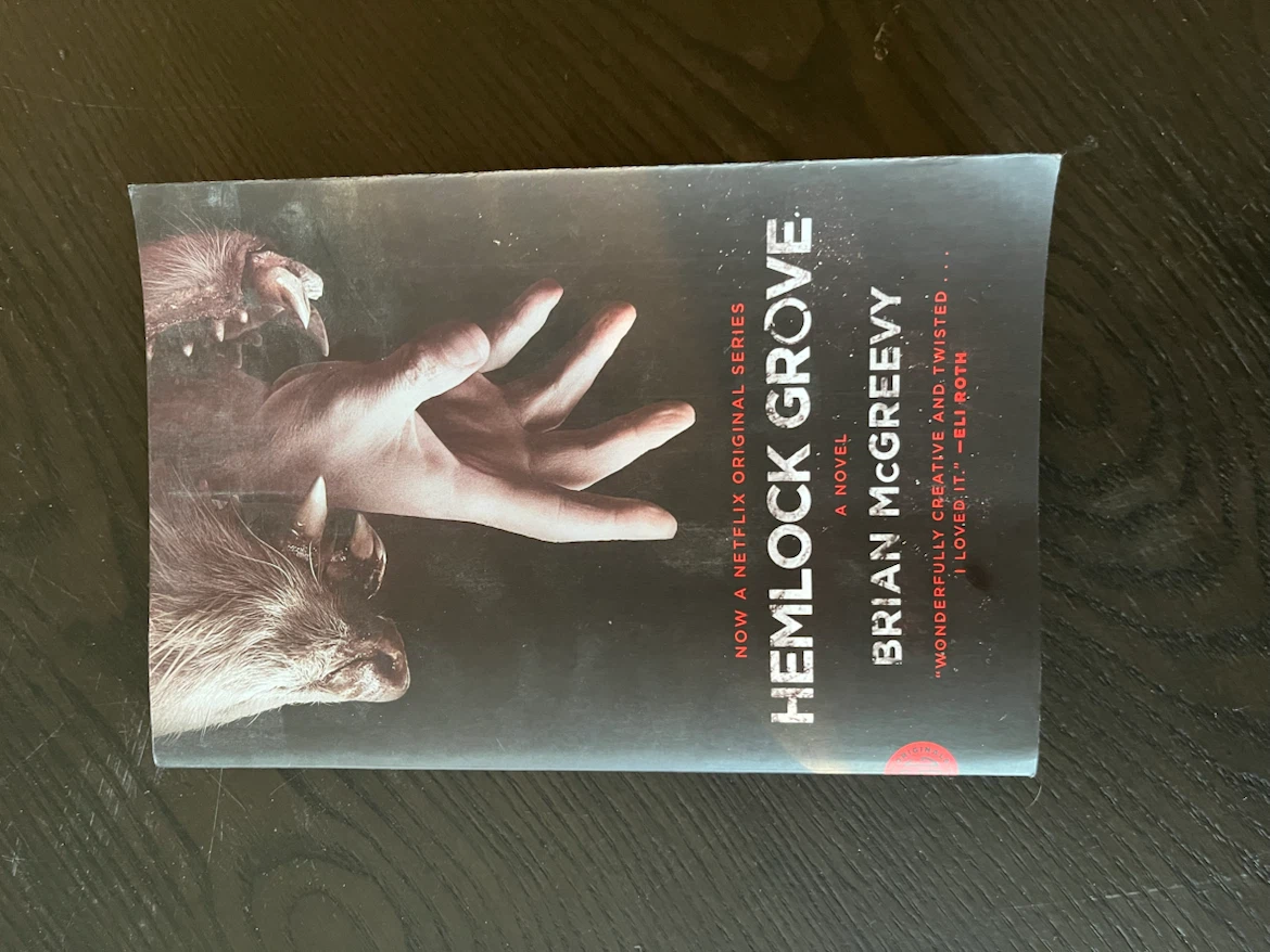 Selection of Five Hardcover Novels - photo 4