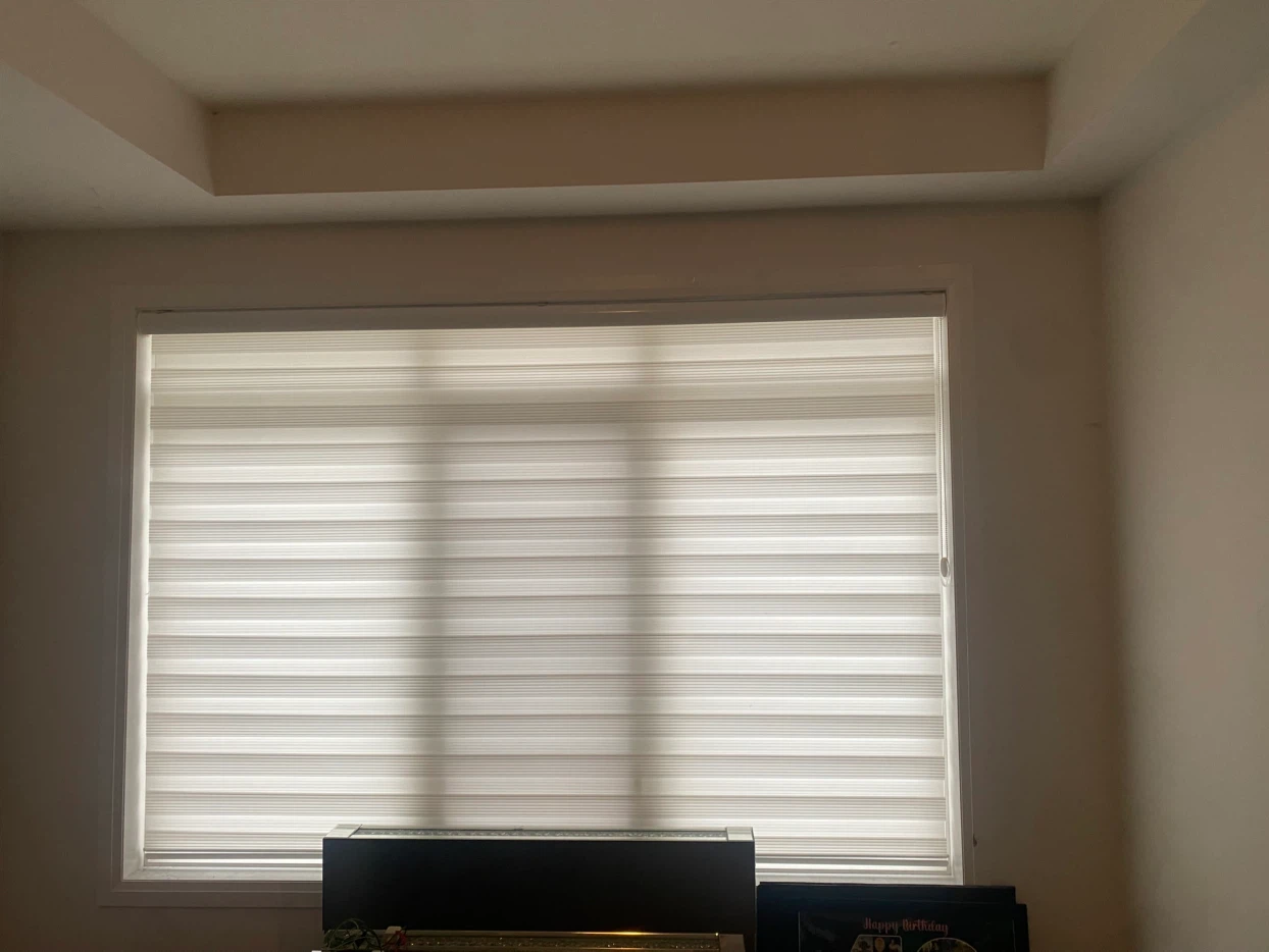 Zebra Blinds