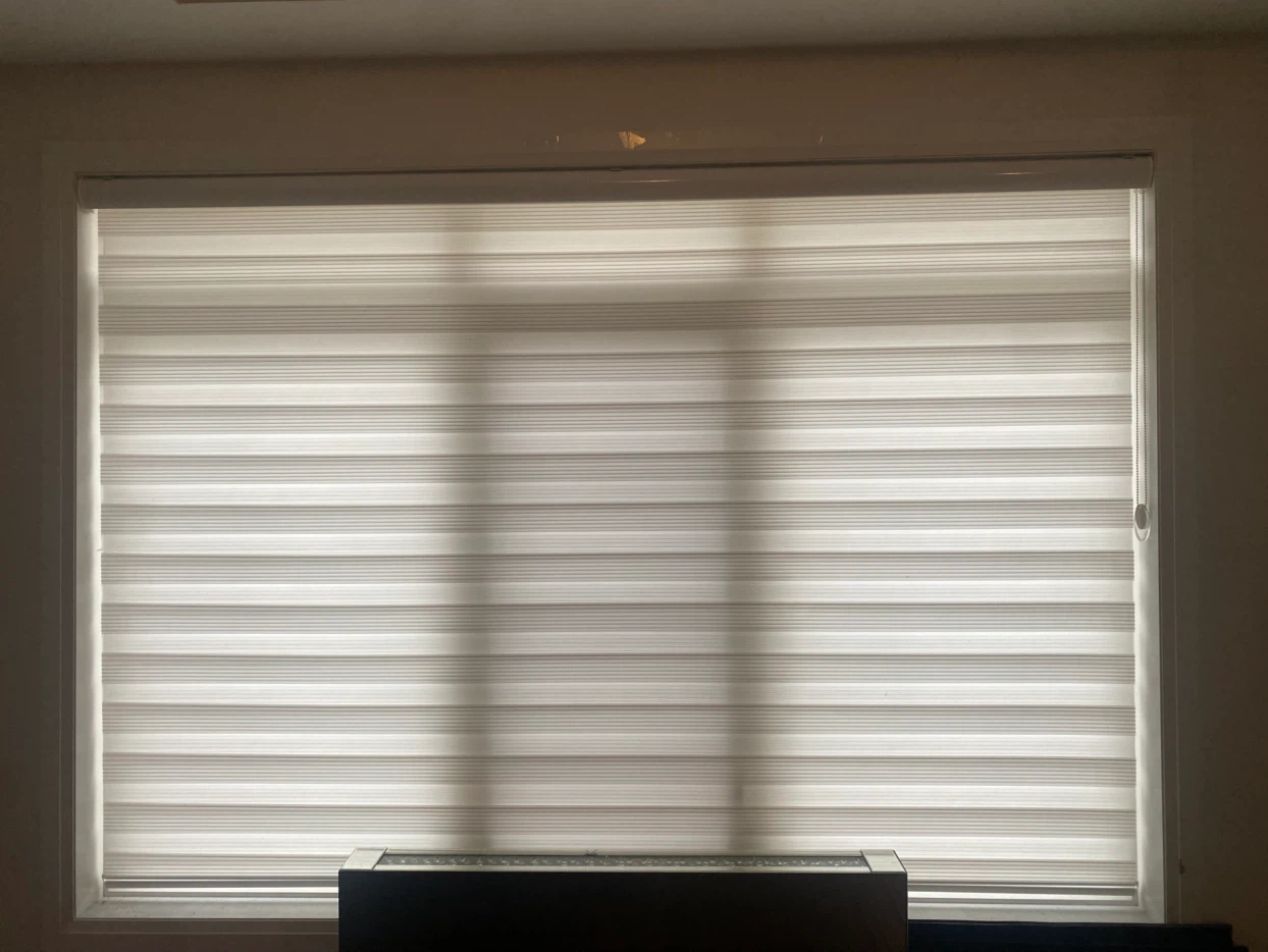 Zebra Blinds - photo 2