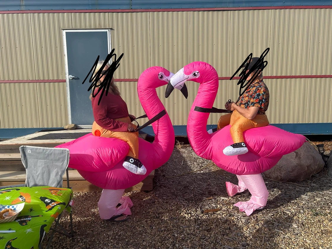 Halloween costumes - photo 2