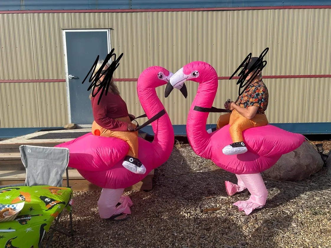 Halloween costumes - photo 2