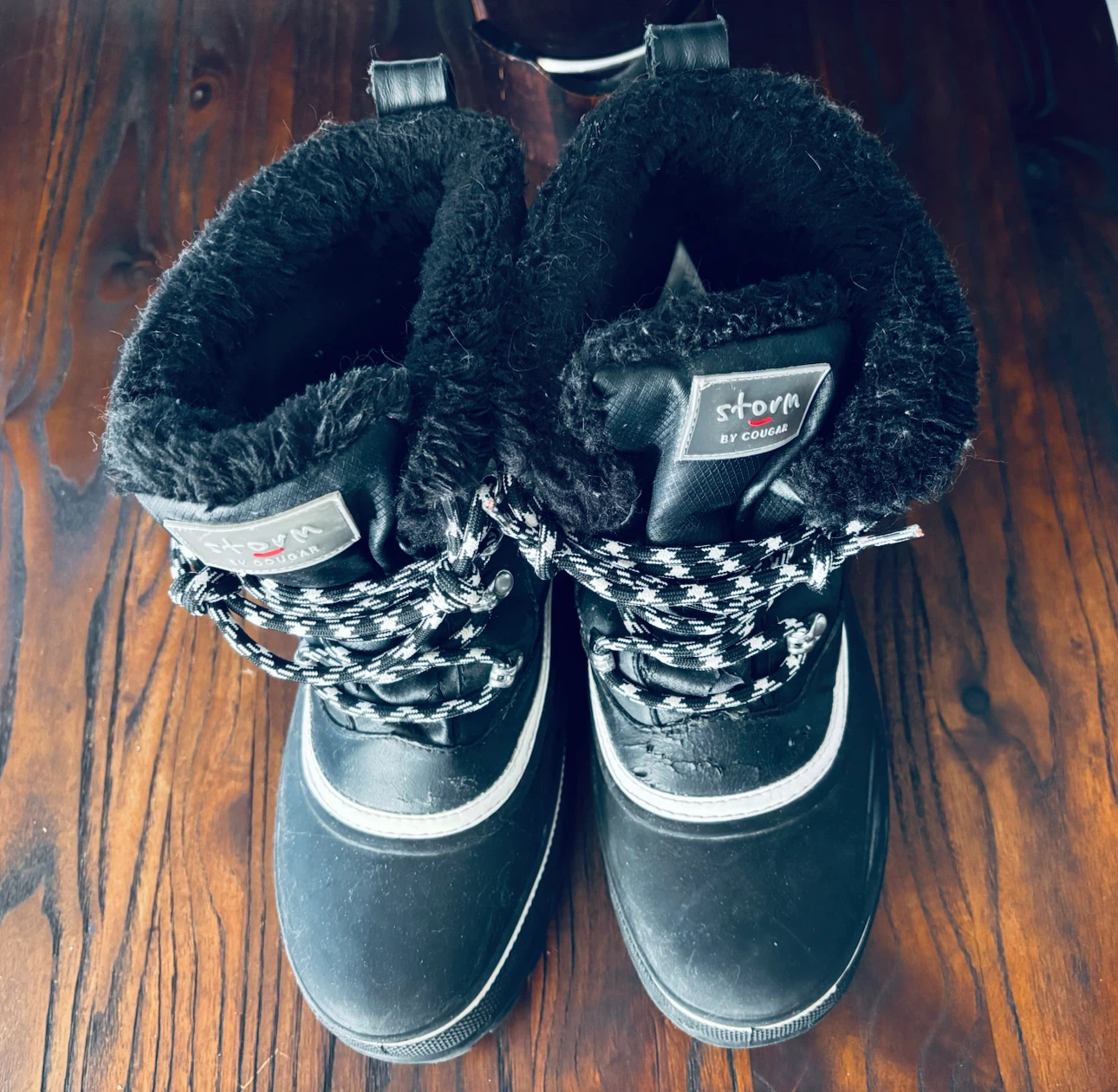 Storm by Cougar Winter Boots
