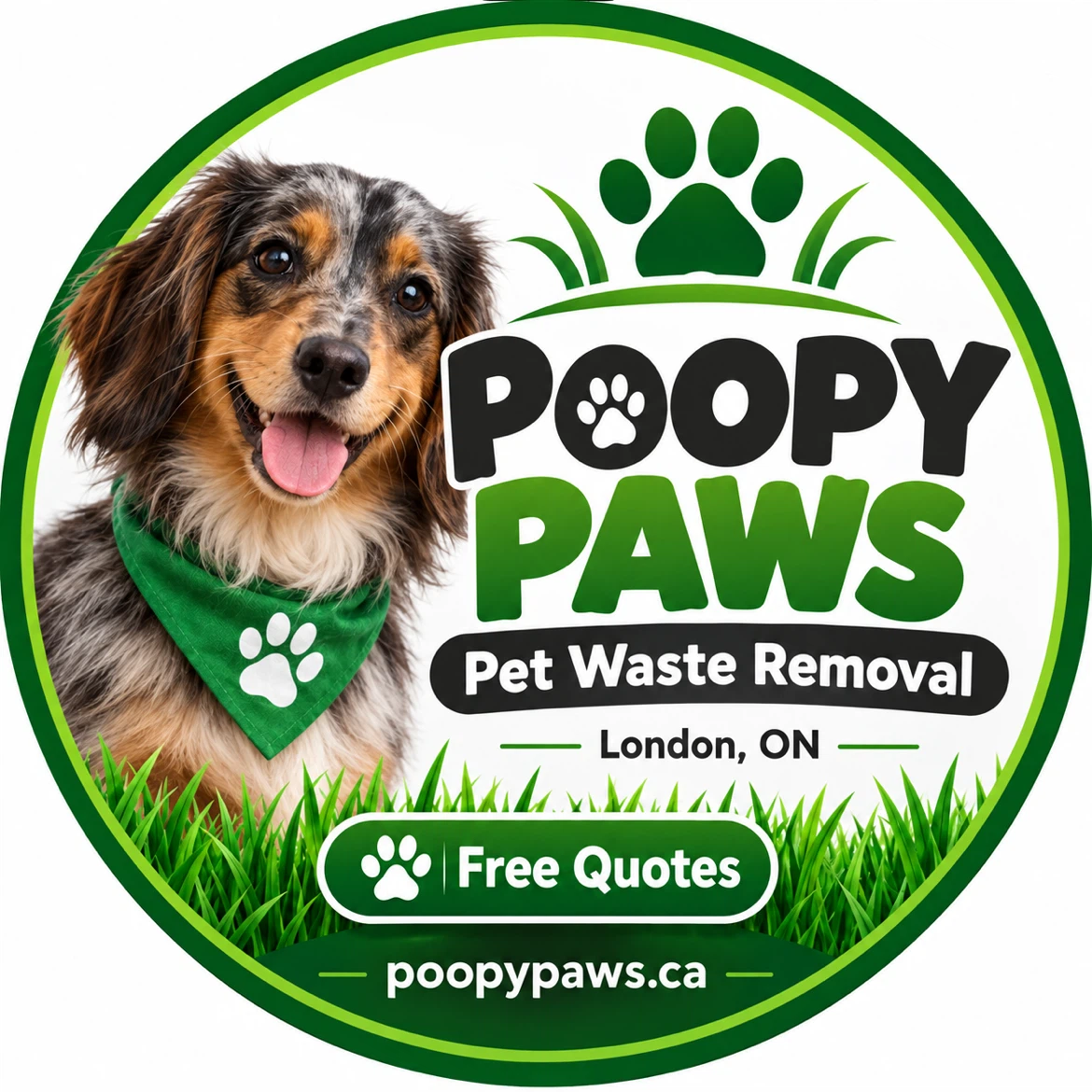 FREE Poop Scoop! - photo 2