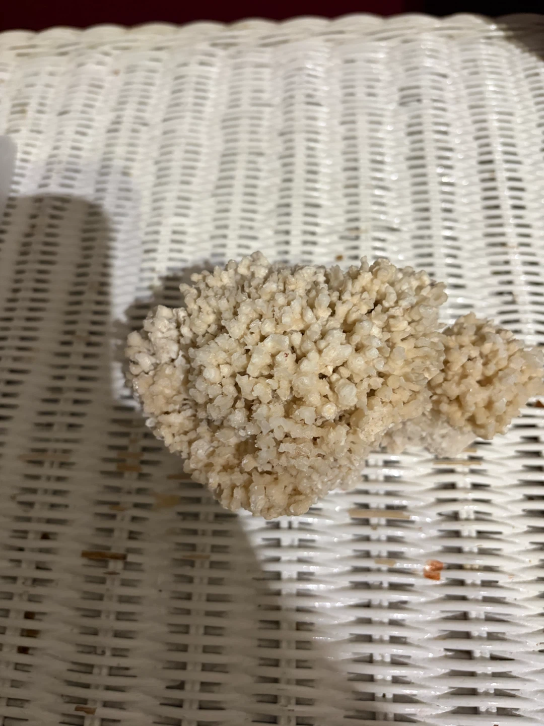 Natural White Coral Decorative Piece