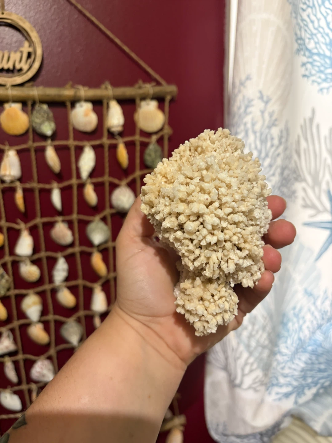 Natural White Coral Decorative Piece - photo 2