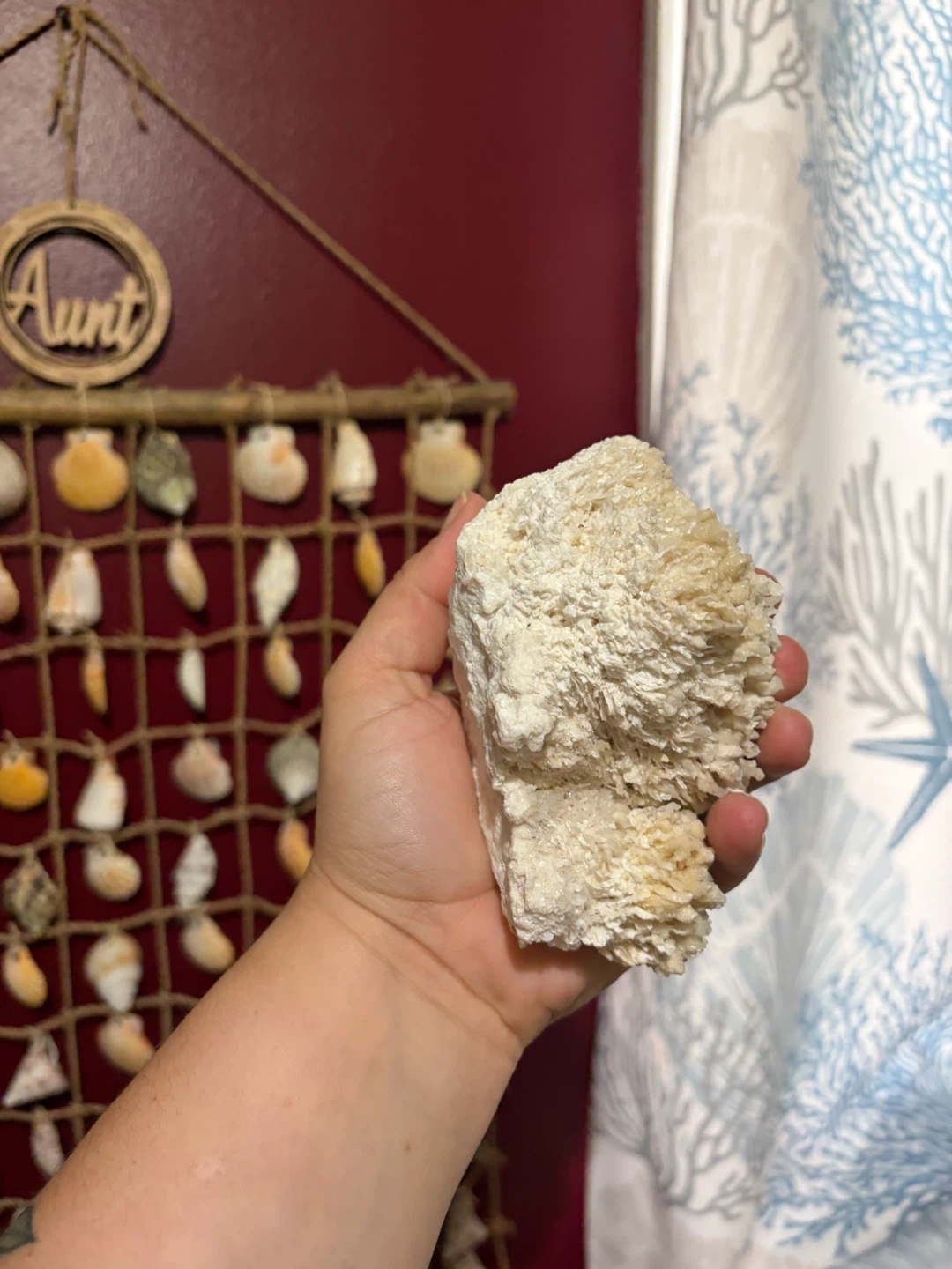 Natural White Coral Decorative Piece - photo 3
