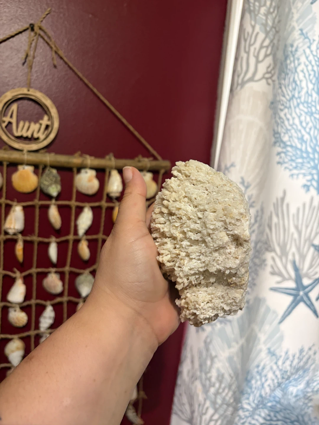 Natural White Coral Decorative Piece - photo 4