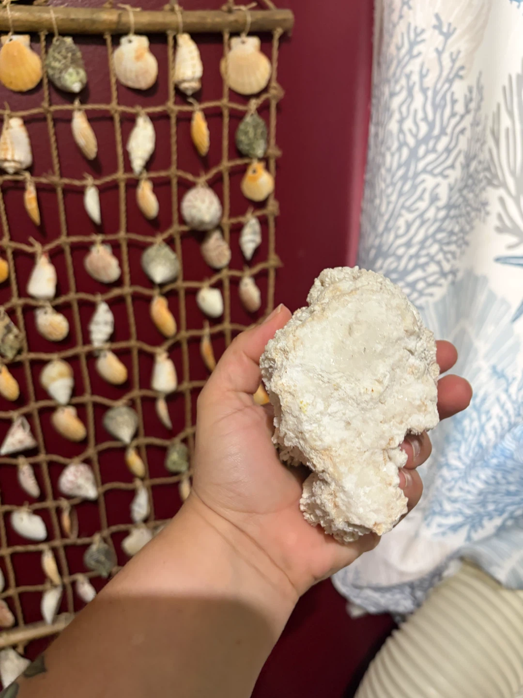Natural White Coral Decorative Piece - photo 5
