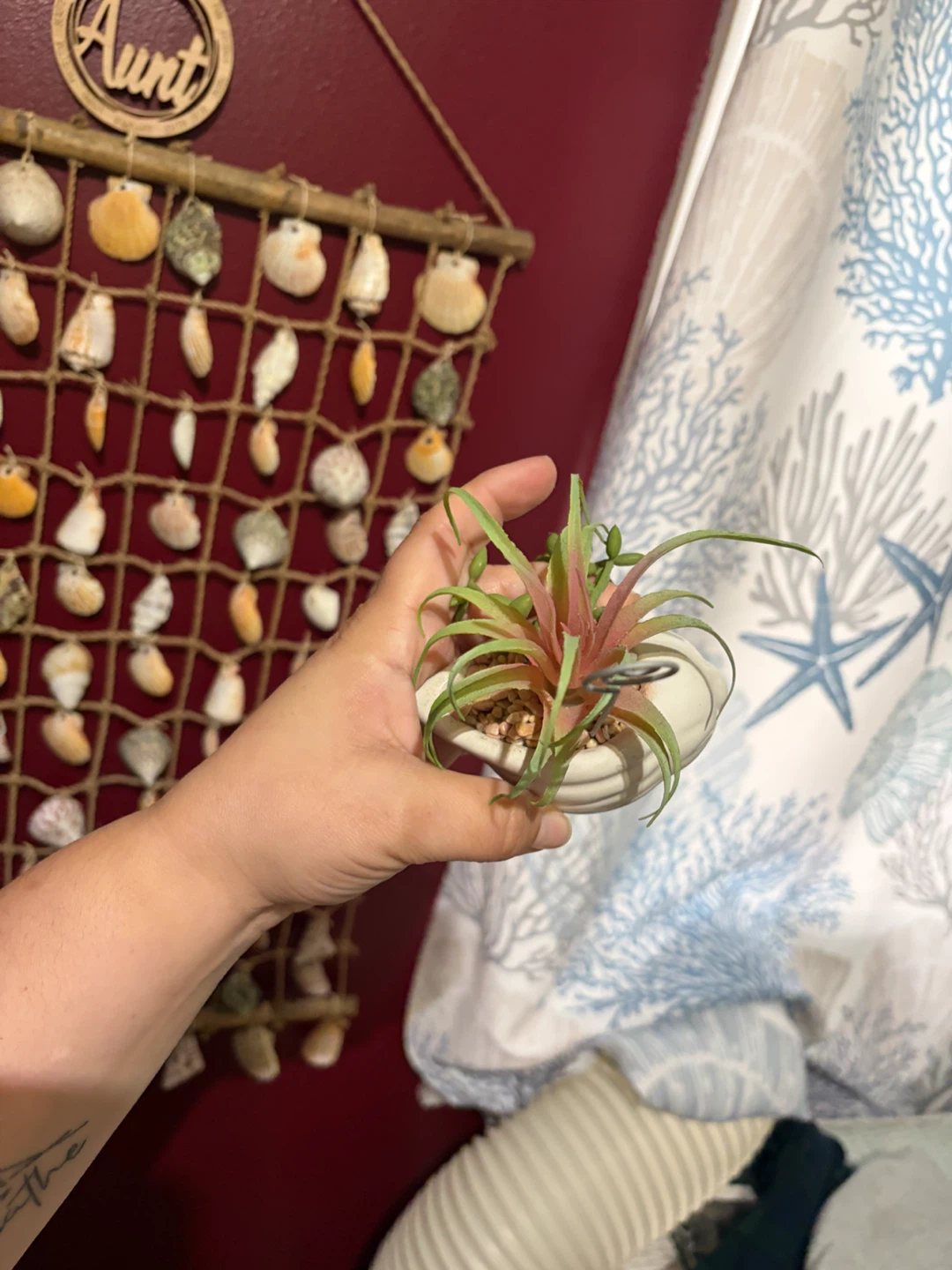 Artificial Faux Plant in Shell Planter