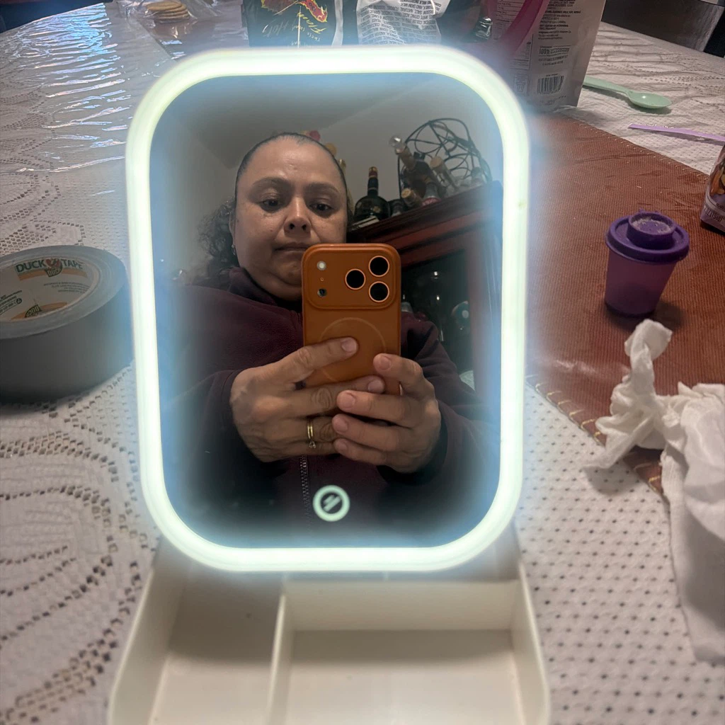 LED Vanity Mirror with Storage Case
