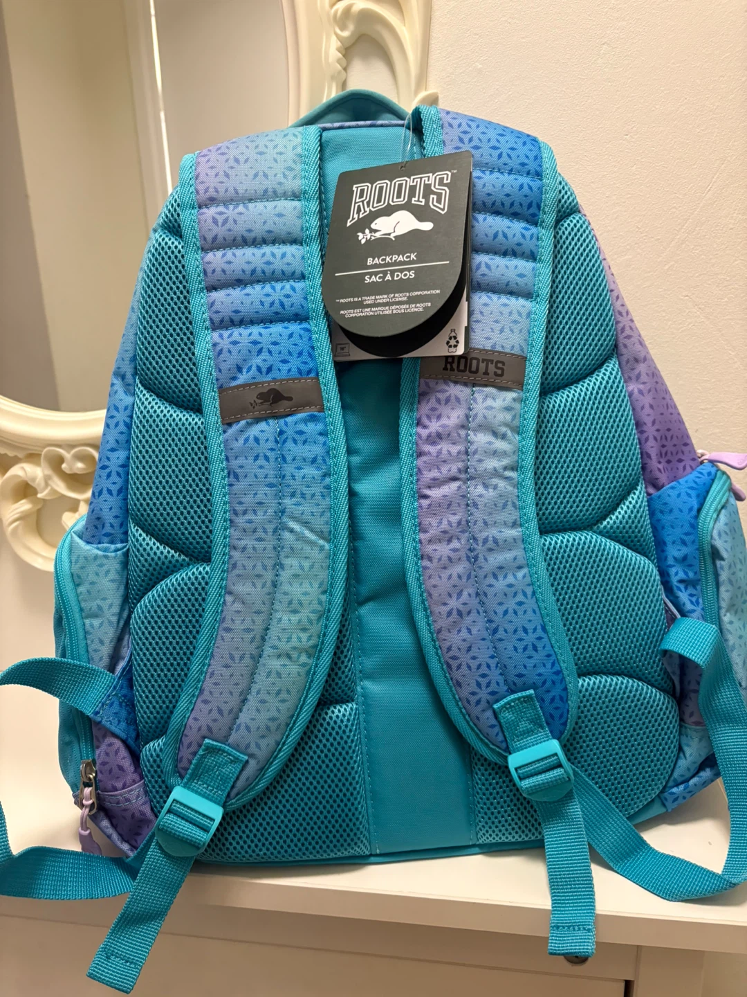 Back pack