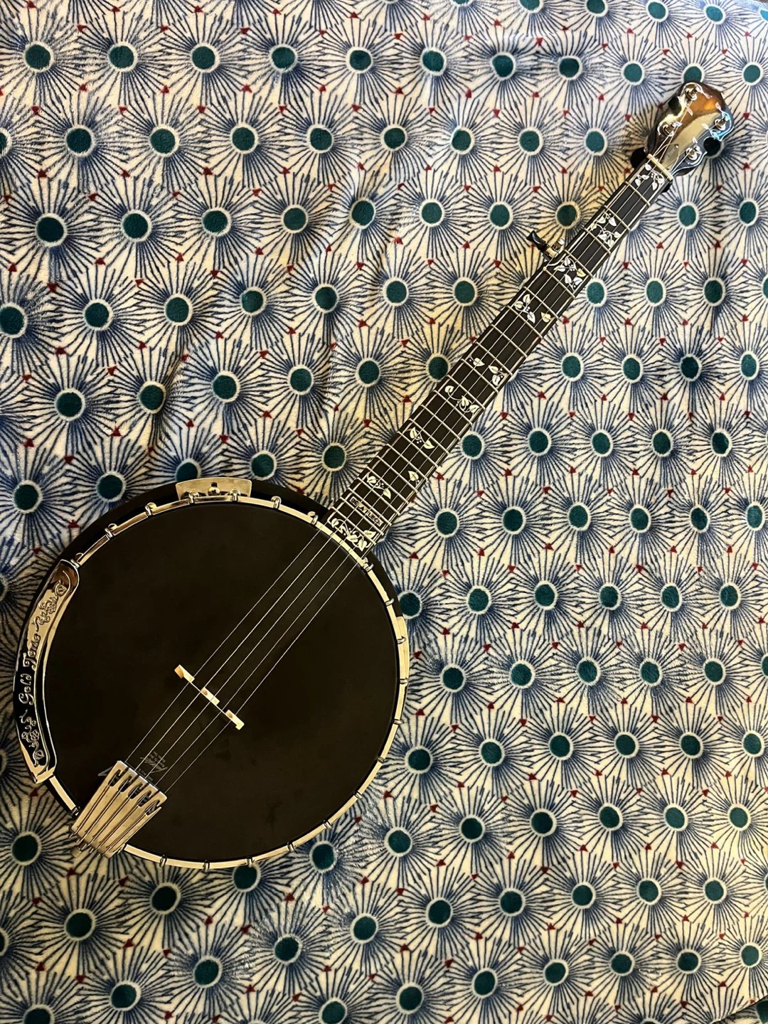 Bela Fleck "Missing Link" 5-String Baritone Banjo