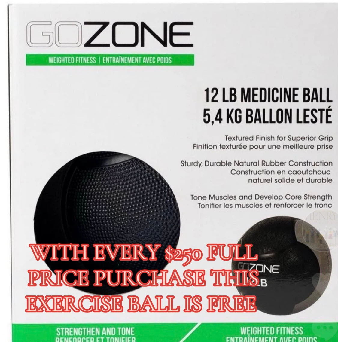 GoZone 12 lb Medicine Ball (FREE WITH A PURCHASE OF $250