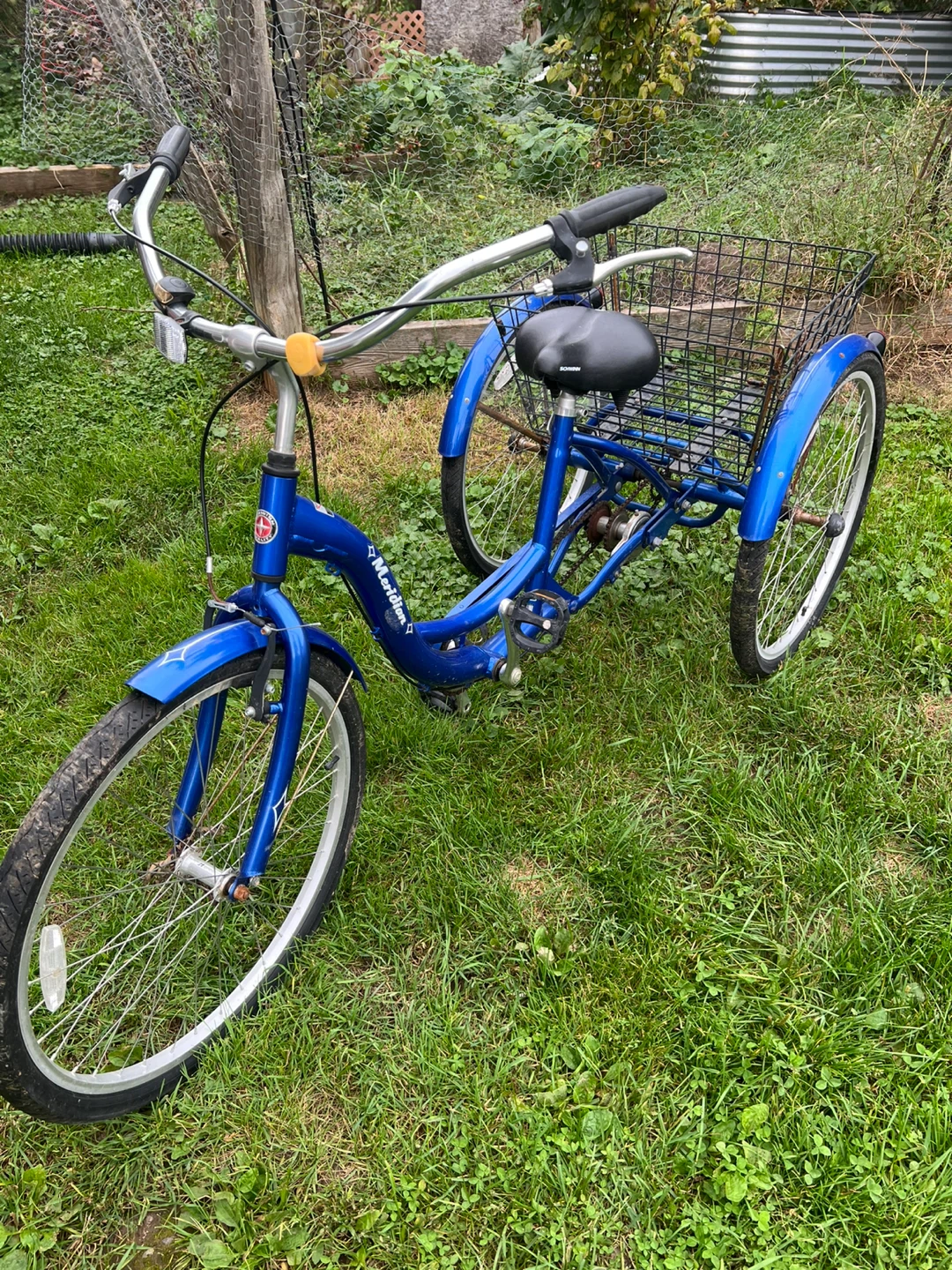 3 wheel trike - photo 3