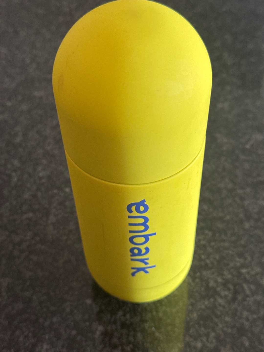 Embark Yellow Water Bottle