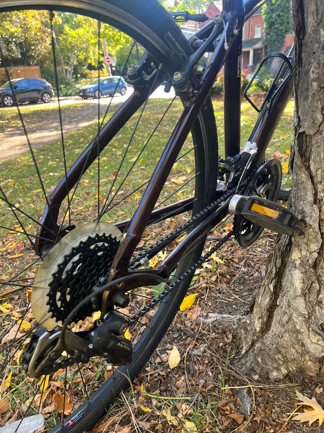 Specialized Globe Vienna Hybrid Bike - photo 4