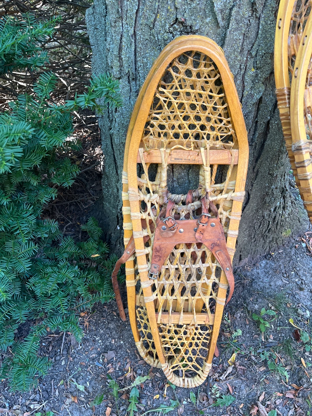 Browning Vintage Wooden Snowshoes - photo 2