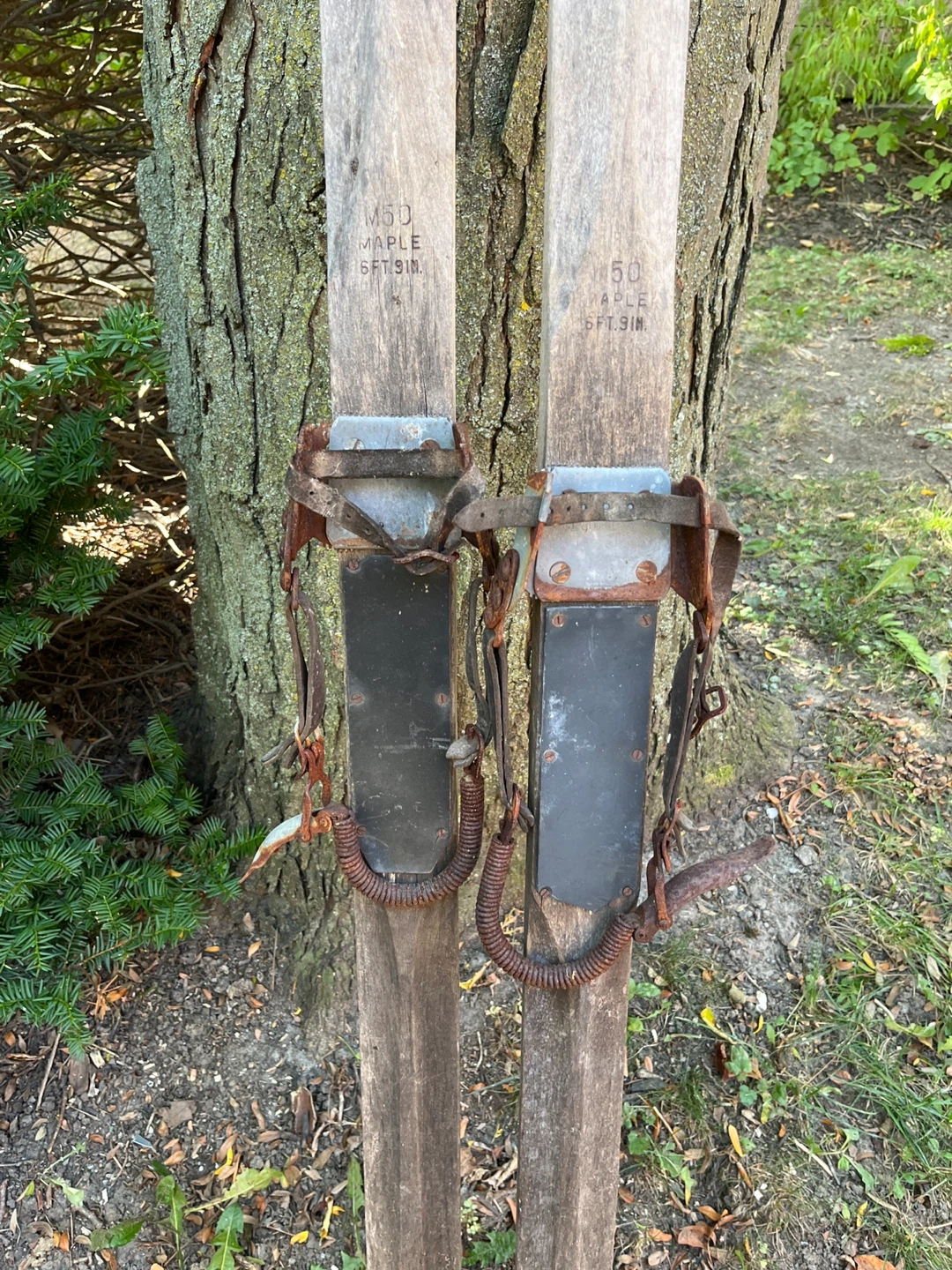 Vintage Maple Wood Skis 6ft 9in - photo 2