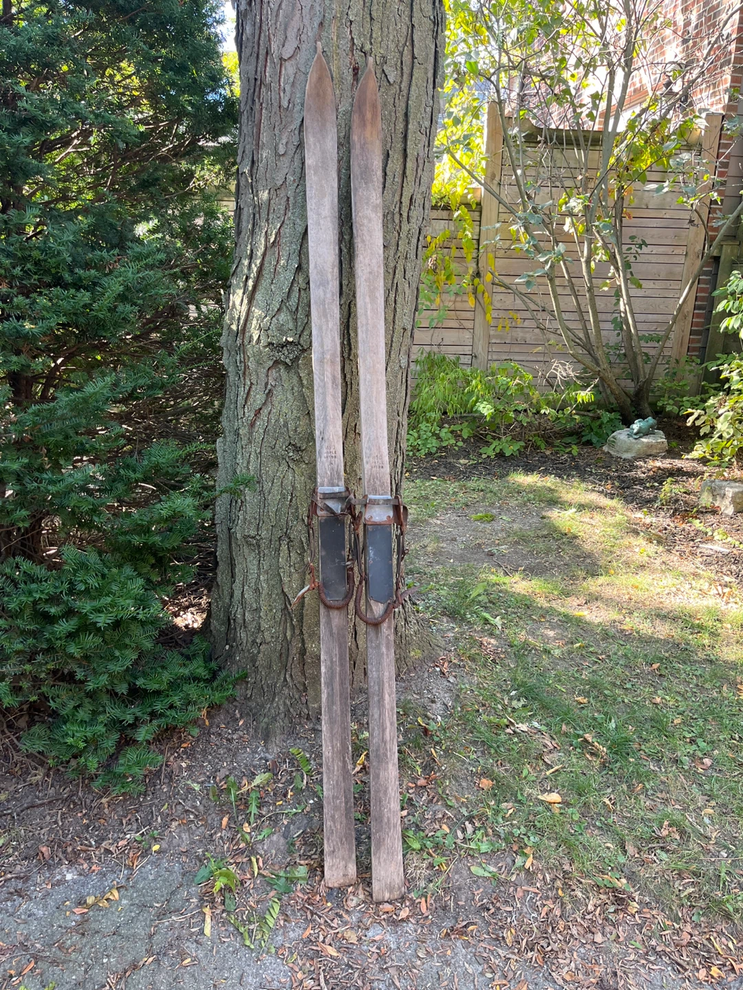 Vintage Maple Wood Skis 6ft 9in