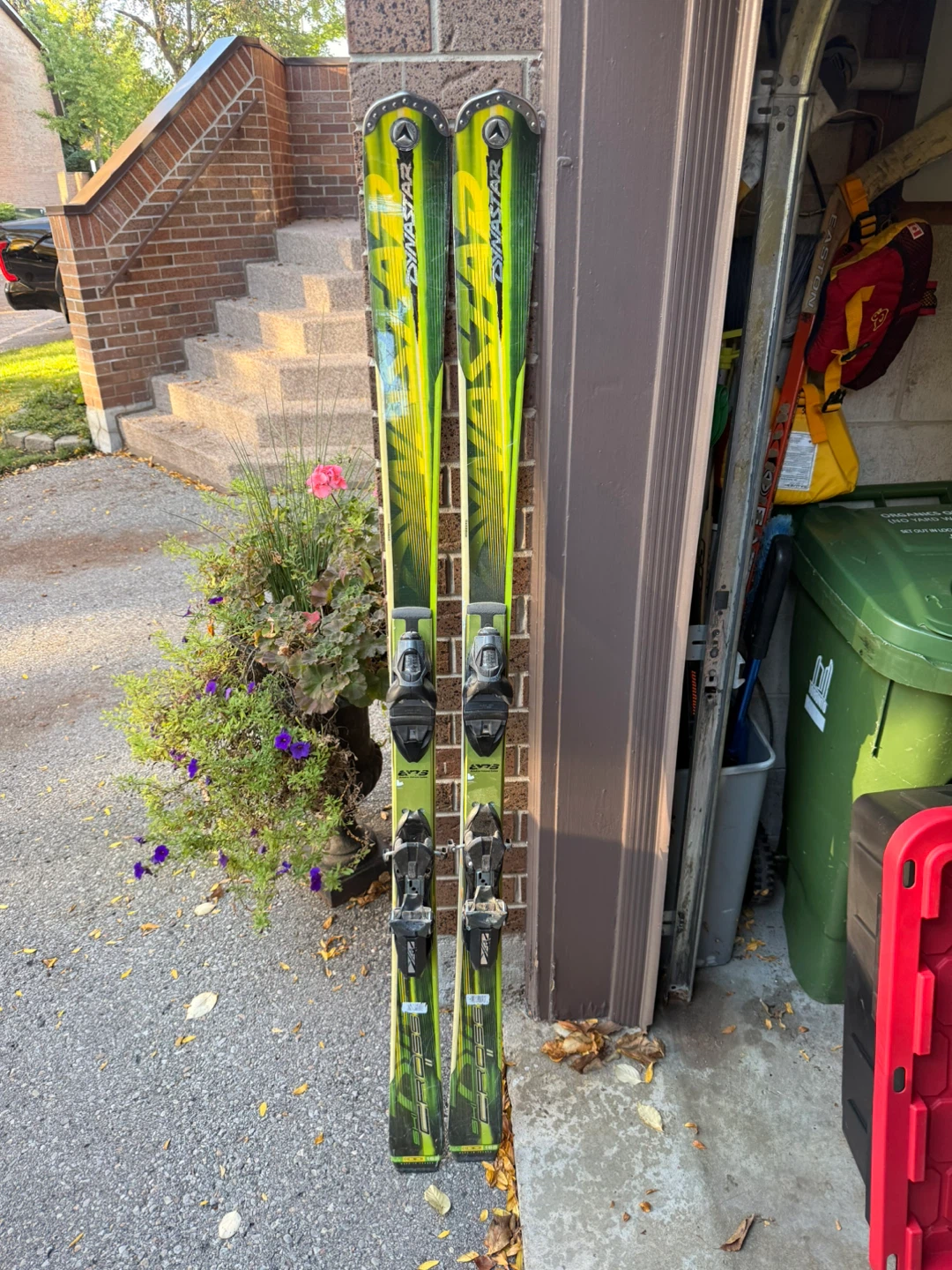 Dynastar Skis with Look Bindings - photo 3