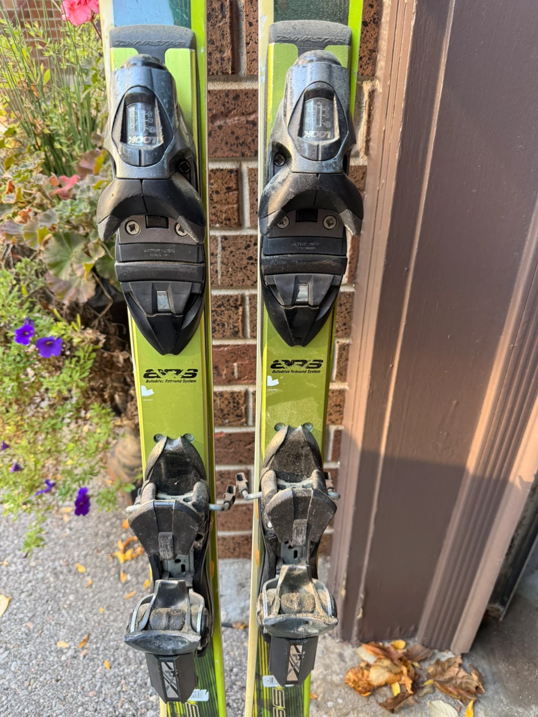 Dynastar Skis with Look Bindings - photo 4