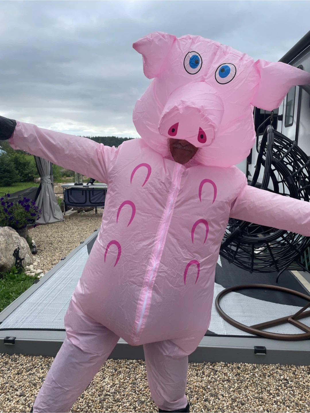 Inflatable Pig Costumes