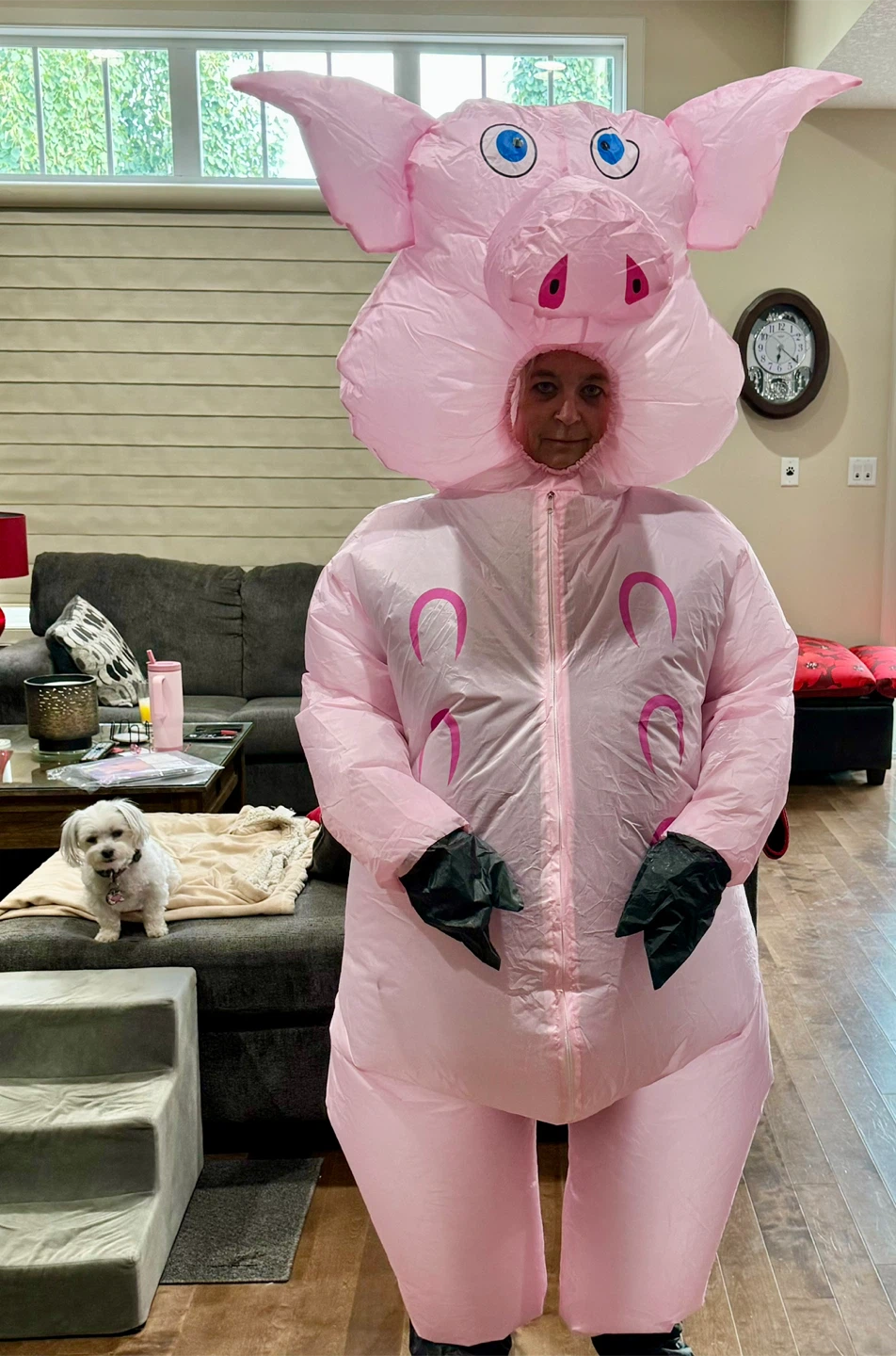 Inflatable Pig Costumes - photo 2