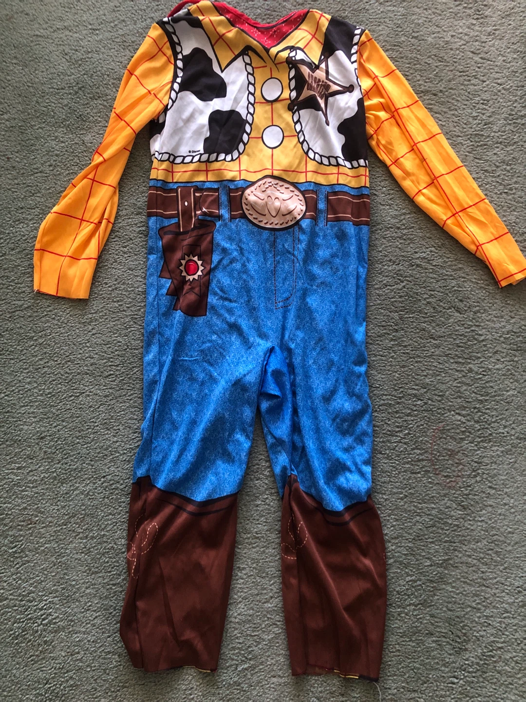 Disney Woody Costume