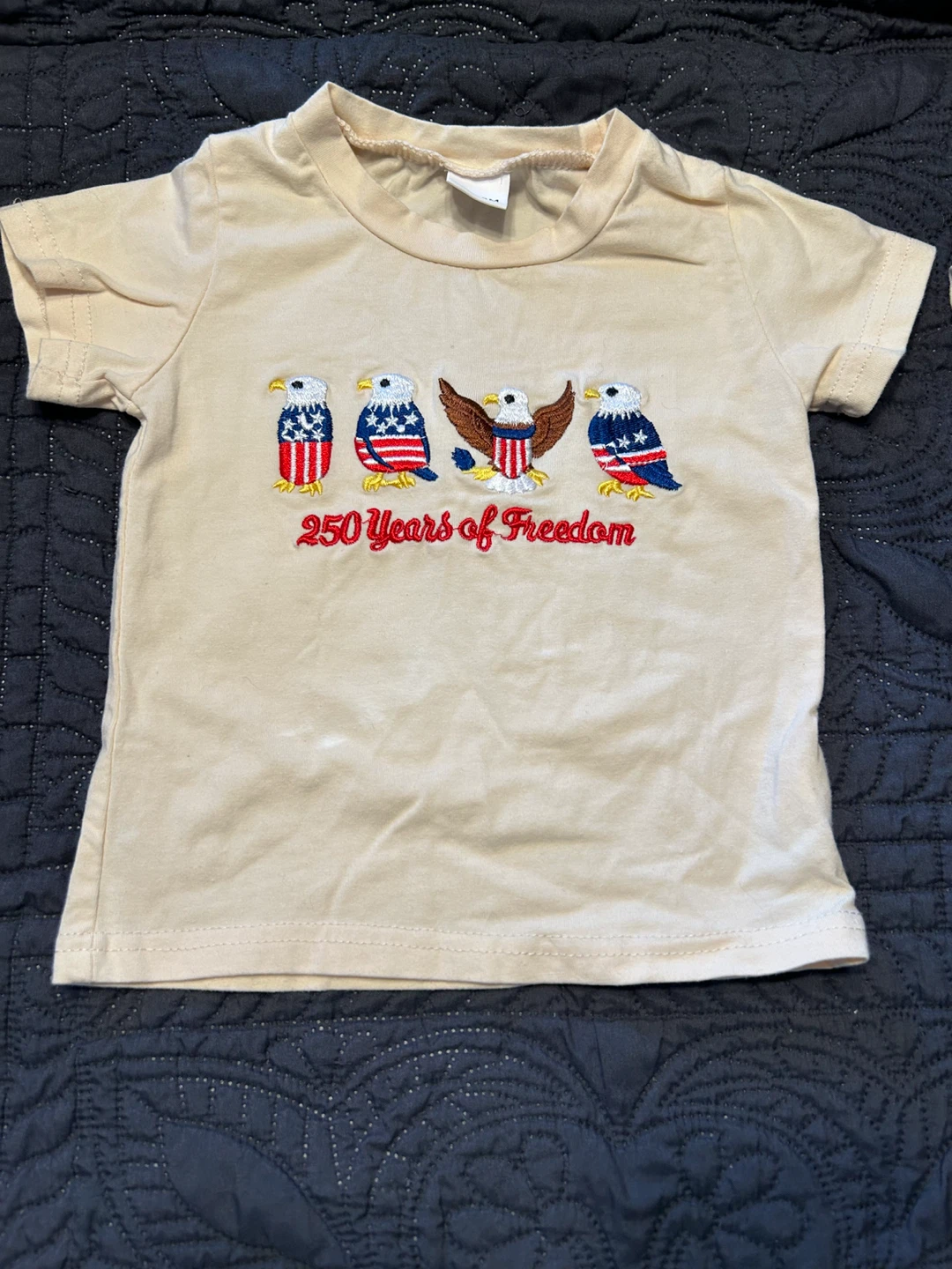 Baby Boys Clothes Bundle Size 12M