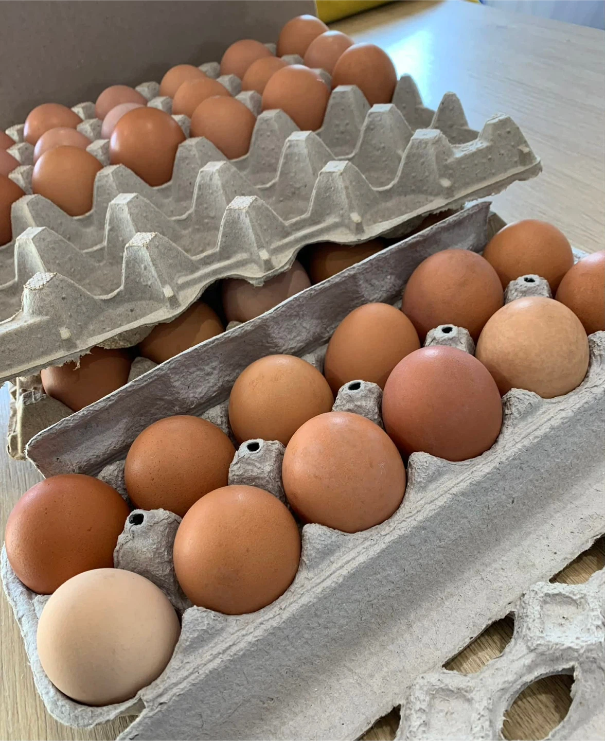 Organic Brown eggs from free-range chickens in small local farm. - photo 2