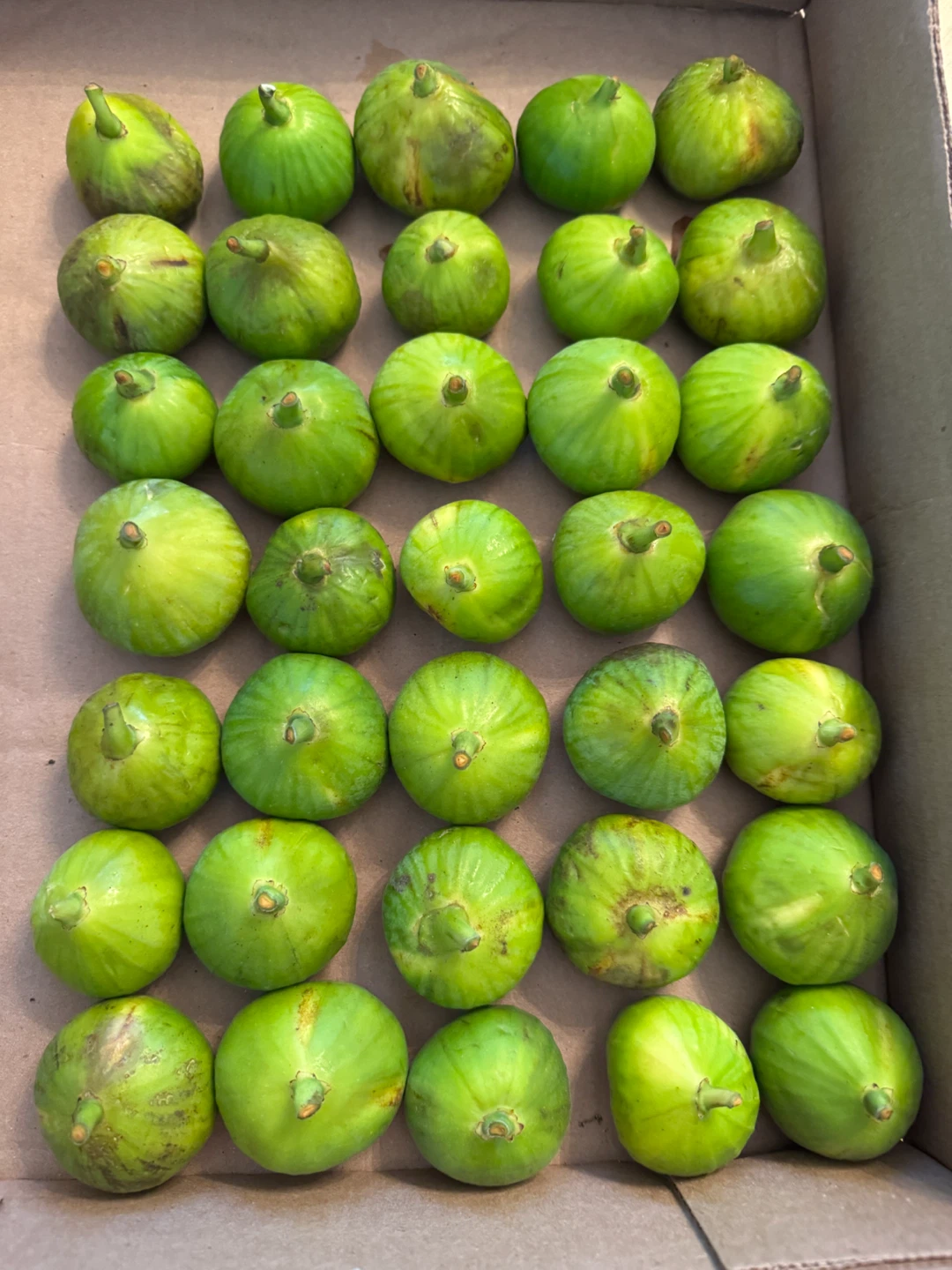 35 Fresh & Sweet Honey Figs