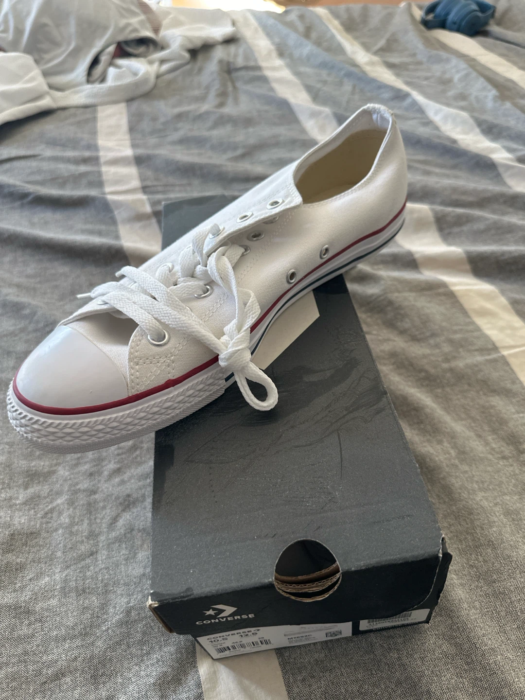 Converse All Star Ox Optical White Sneakers