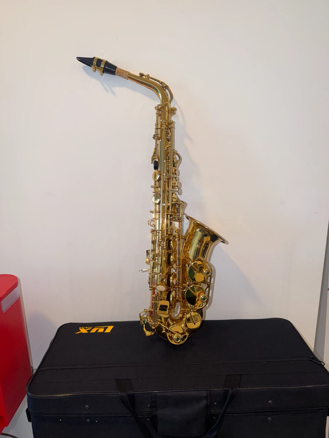 Alto Saxophone with Carrying Case and Accessories - photo 3