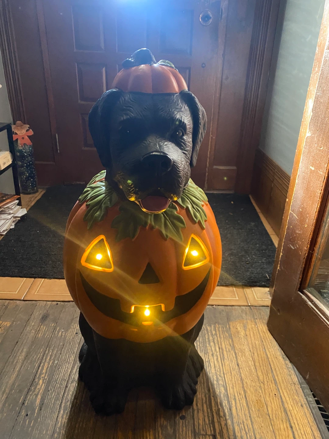 Light-up Pumpkin Black Dog Halloween Decoration