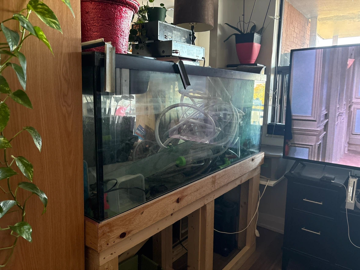 Glass Aquarium