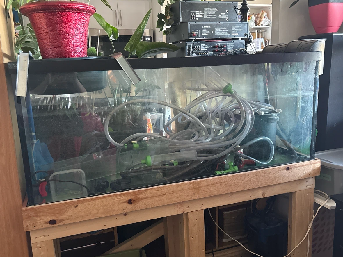 Glass Aquarium - photo 2