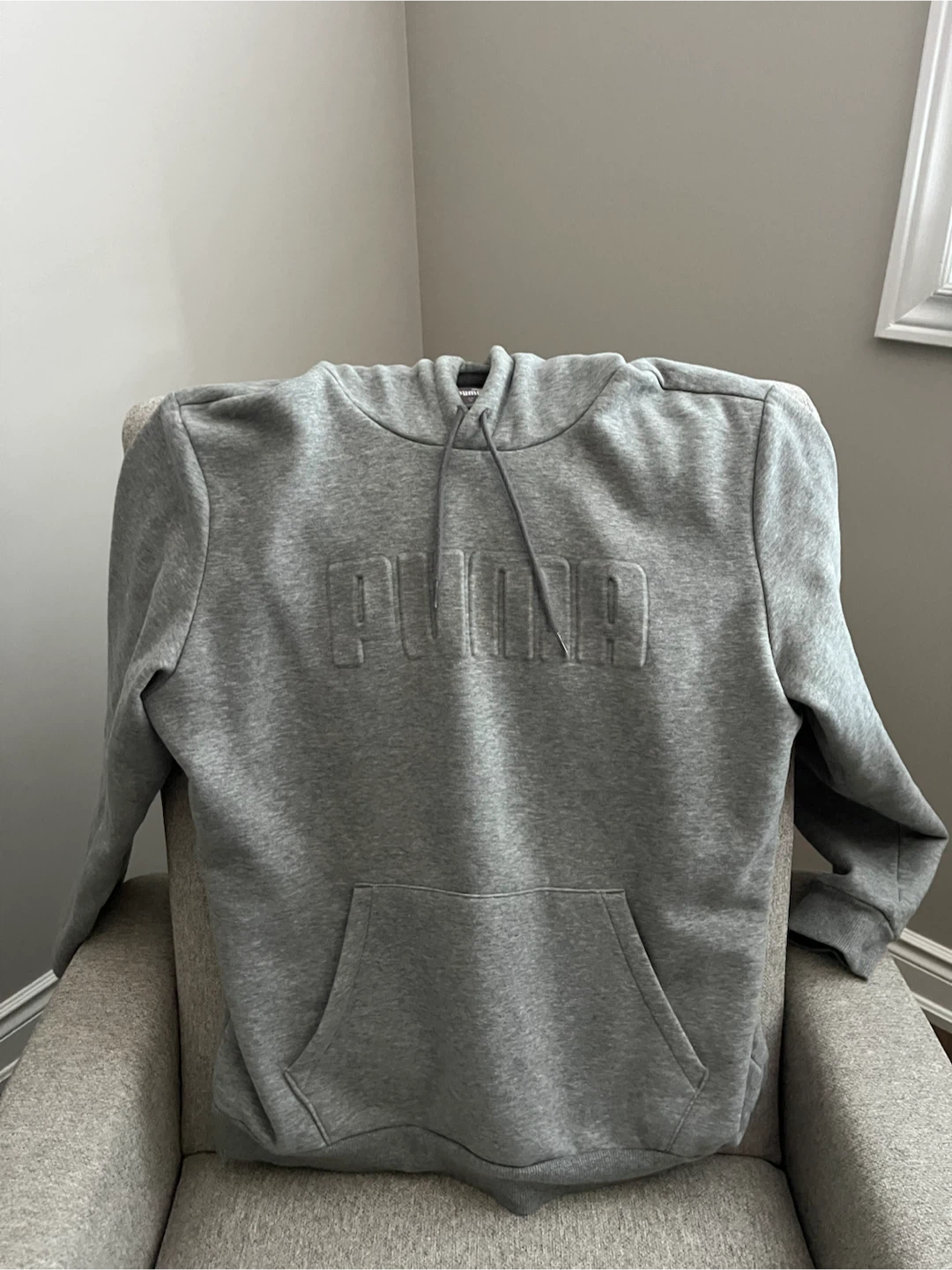 Puma Grey Hoodie