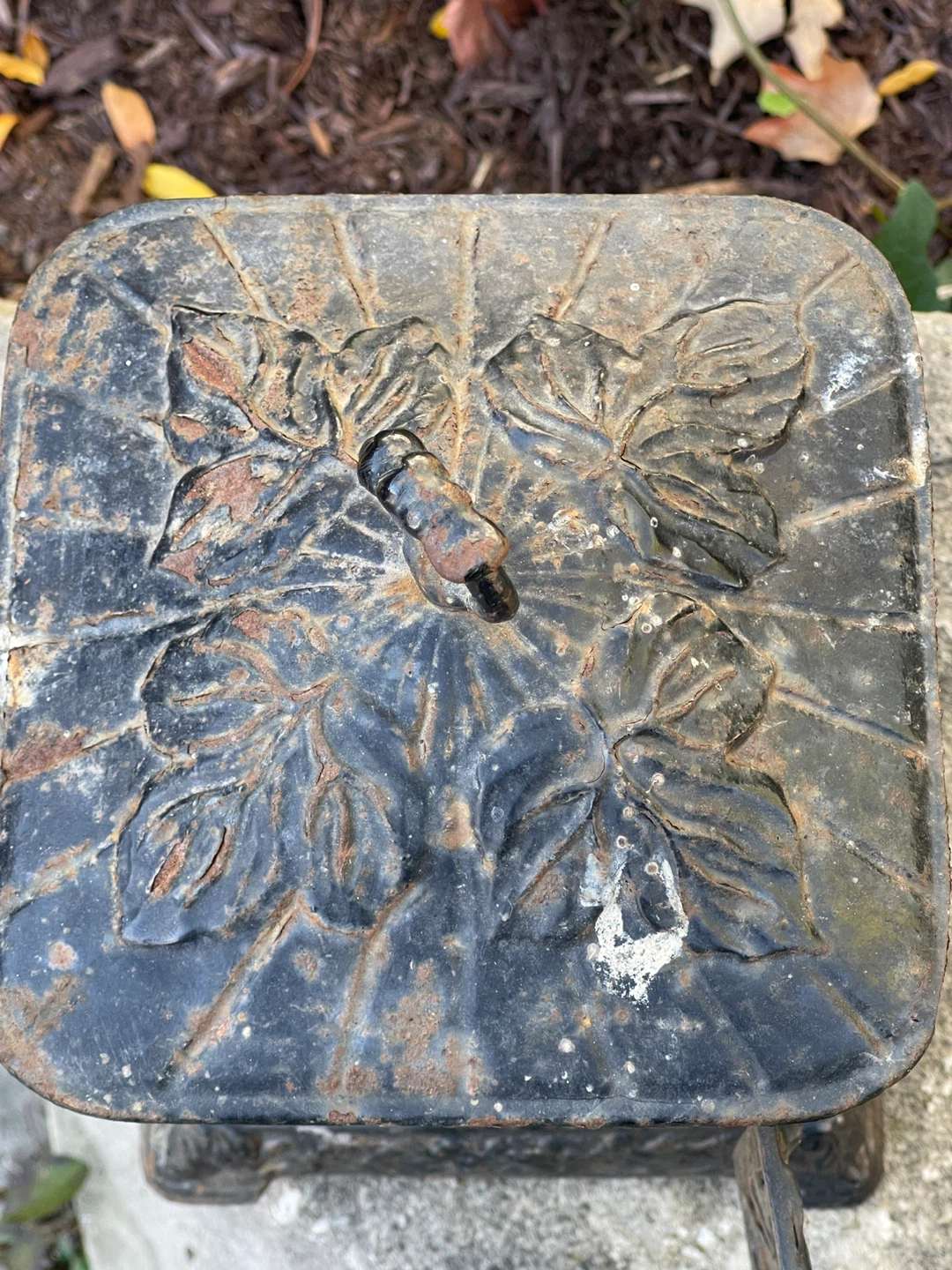 Vintage Cast Iron Grapevine Decorative Lantern - photo 5