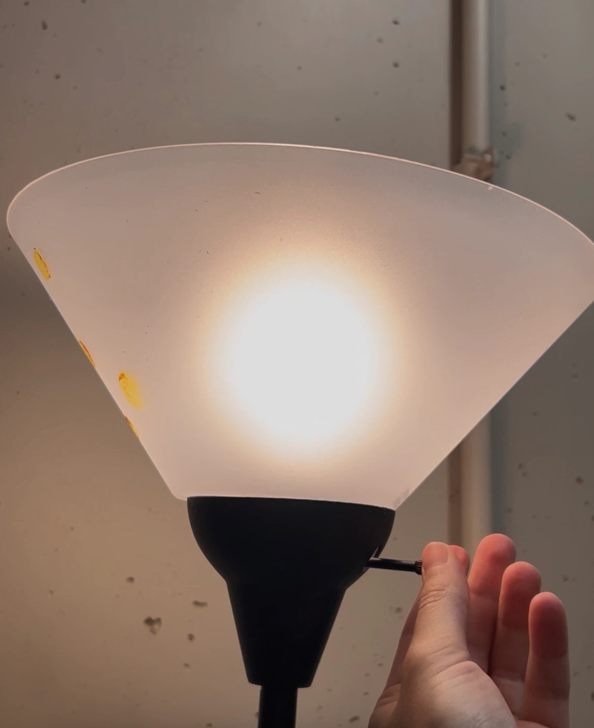 Simple black Floor lamp with plastic shade - photo 2