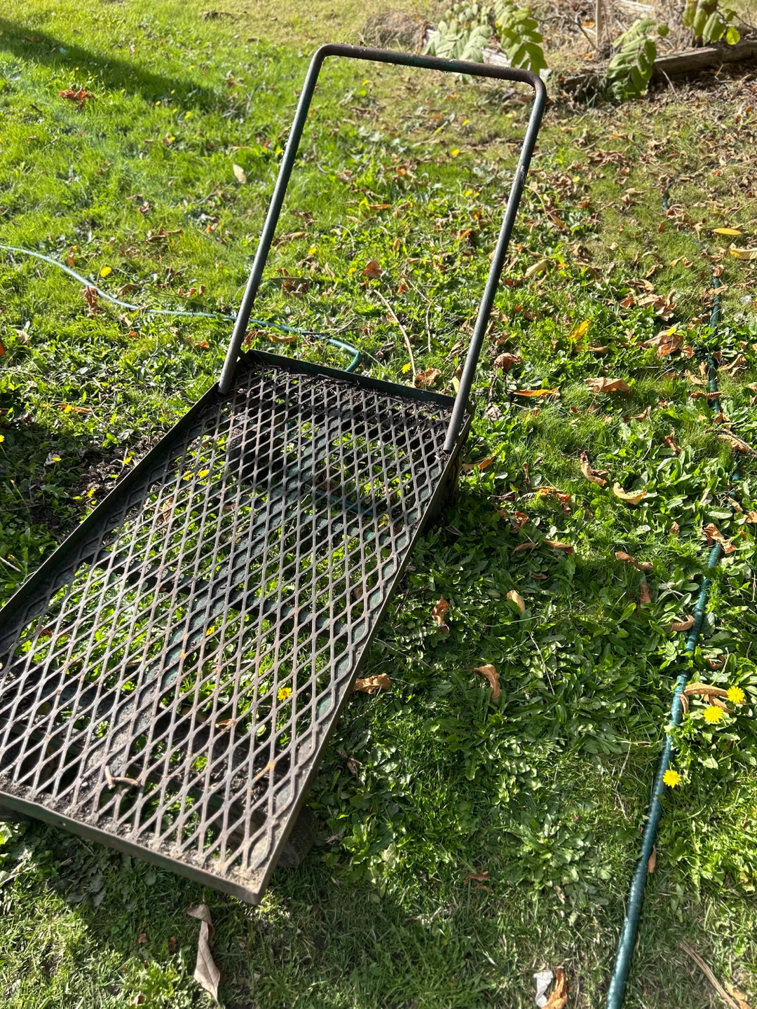 Metal Garden Utility Cart