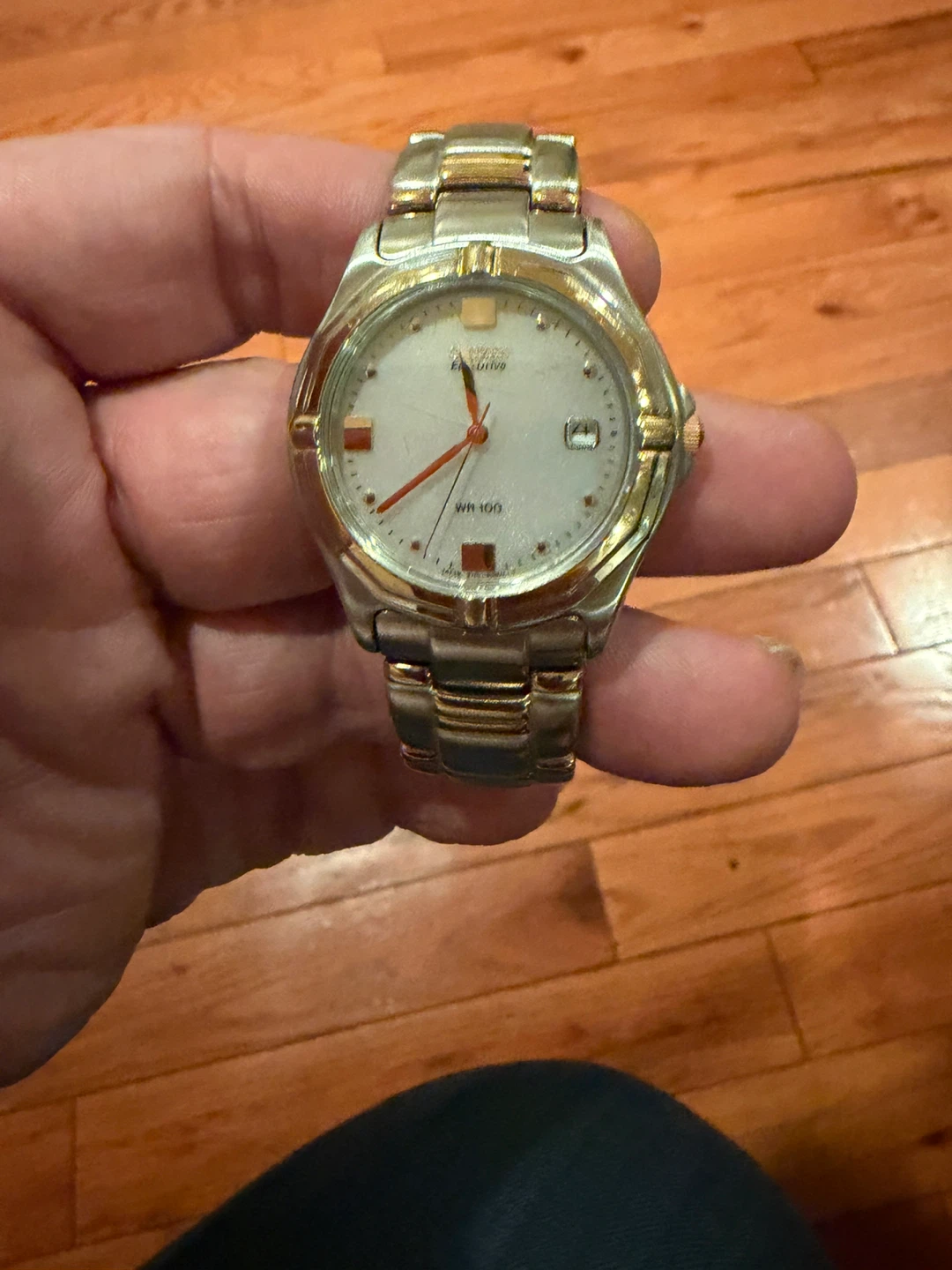 Citizen Eco-Drive WR 100 Watch