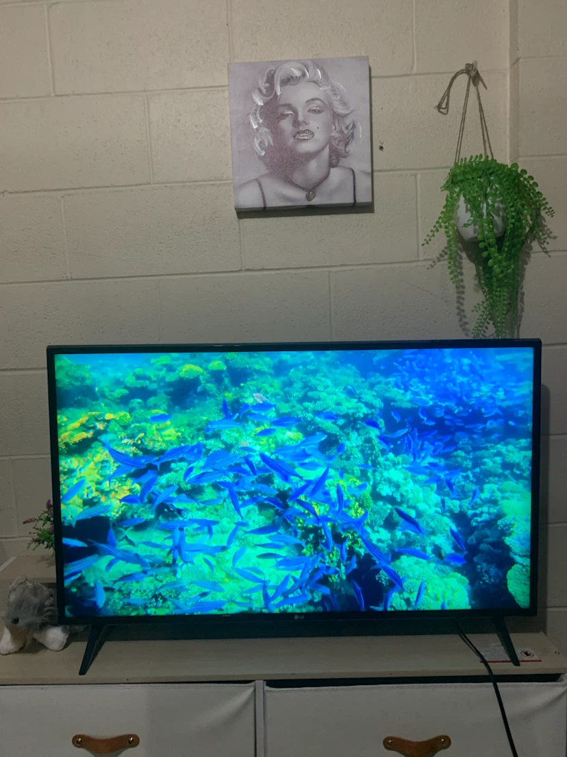 LG 43” 4K UHD Smart TV + Remote – Fully Working