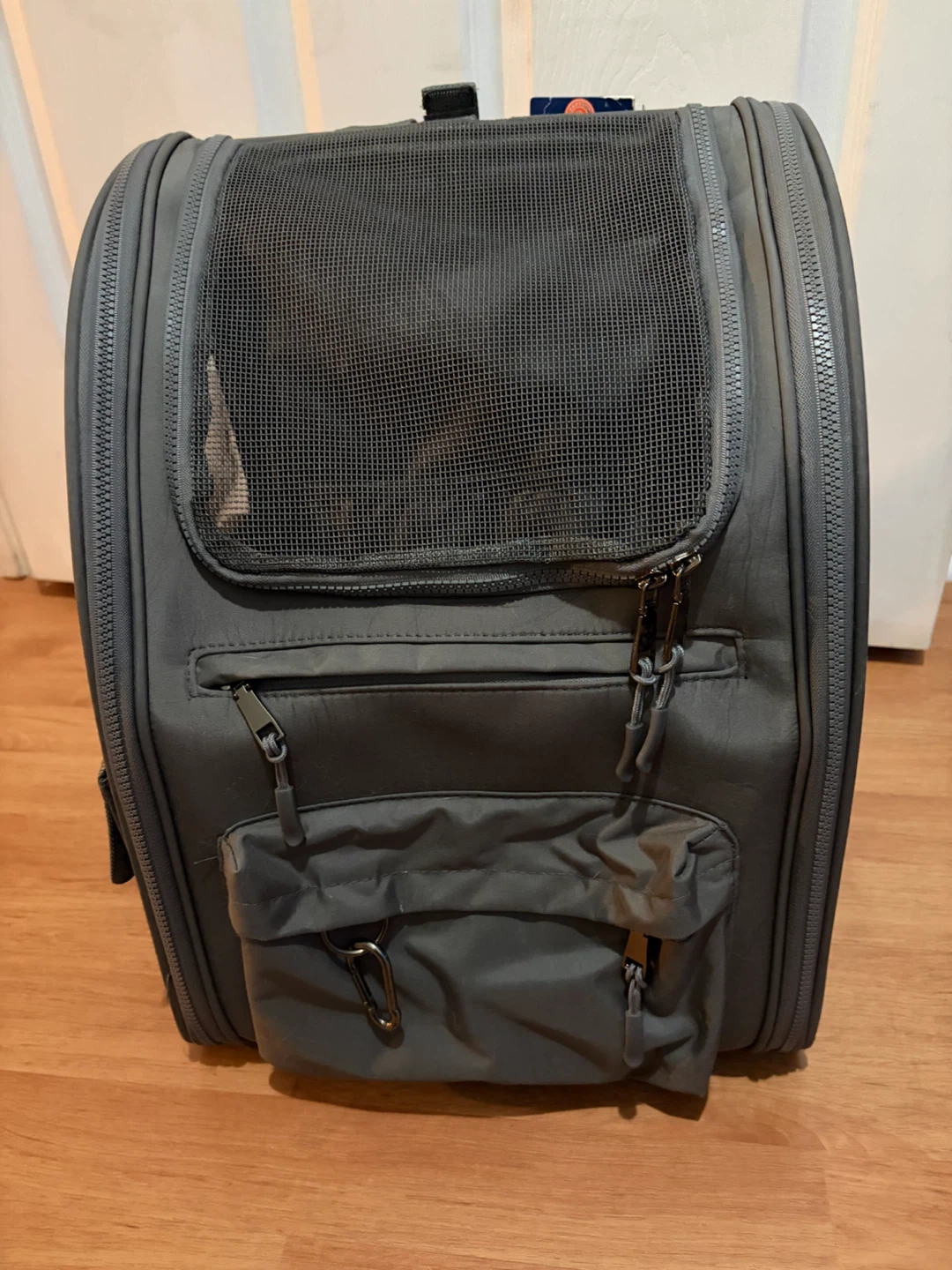 Dog bagpack