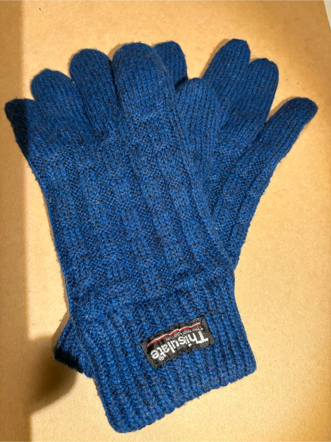Blue Thinsulate Knit Gloves