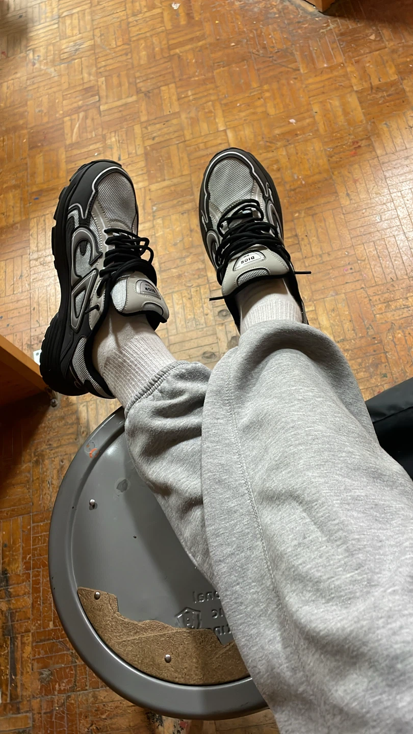 Dior B30 Sneakers Silver and Black