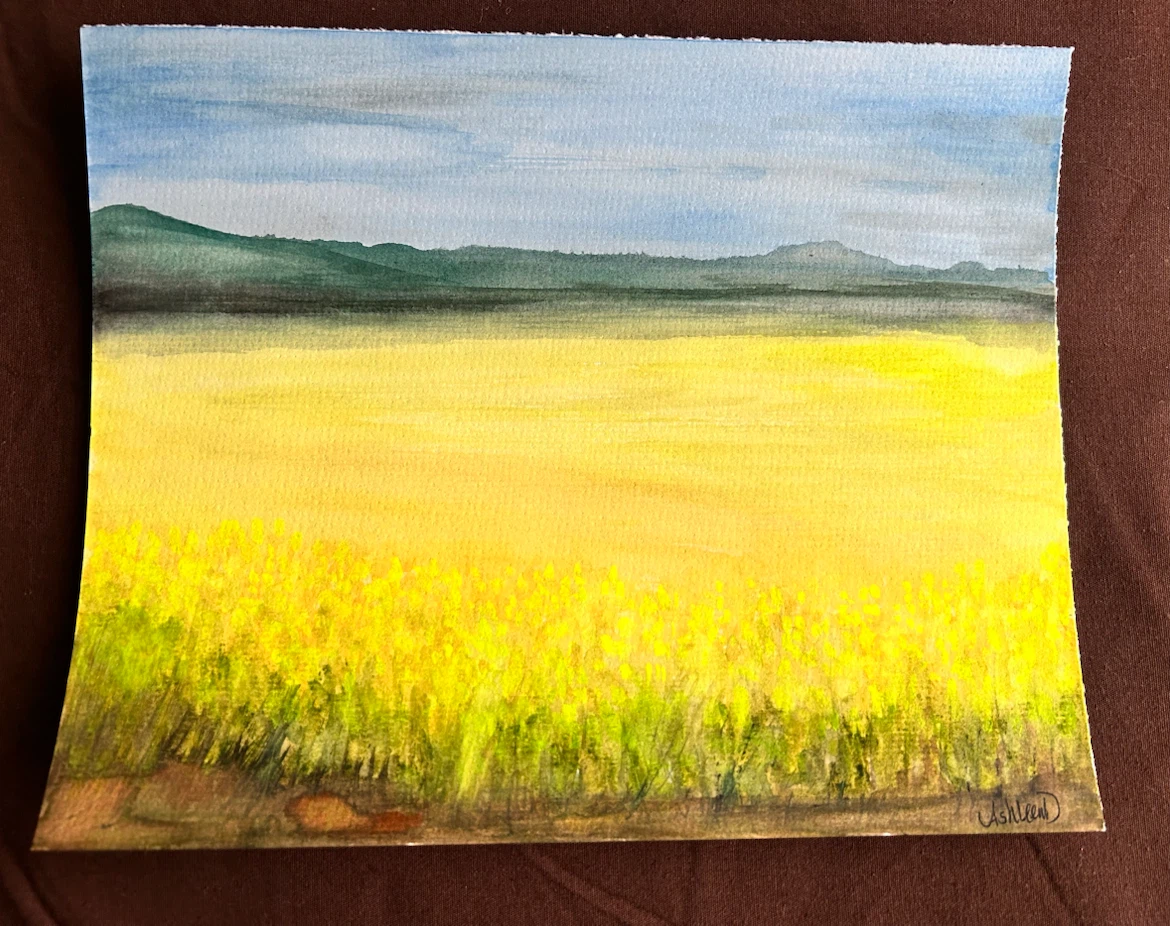 Original Watercolor Painting of Canola Field