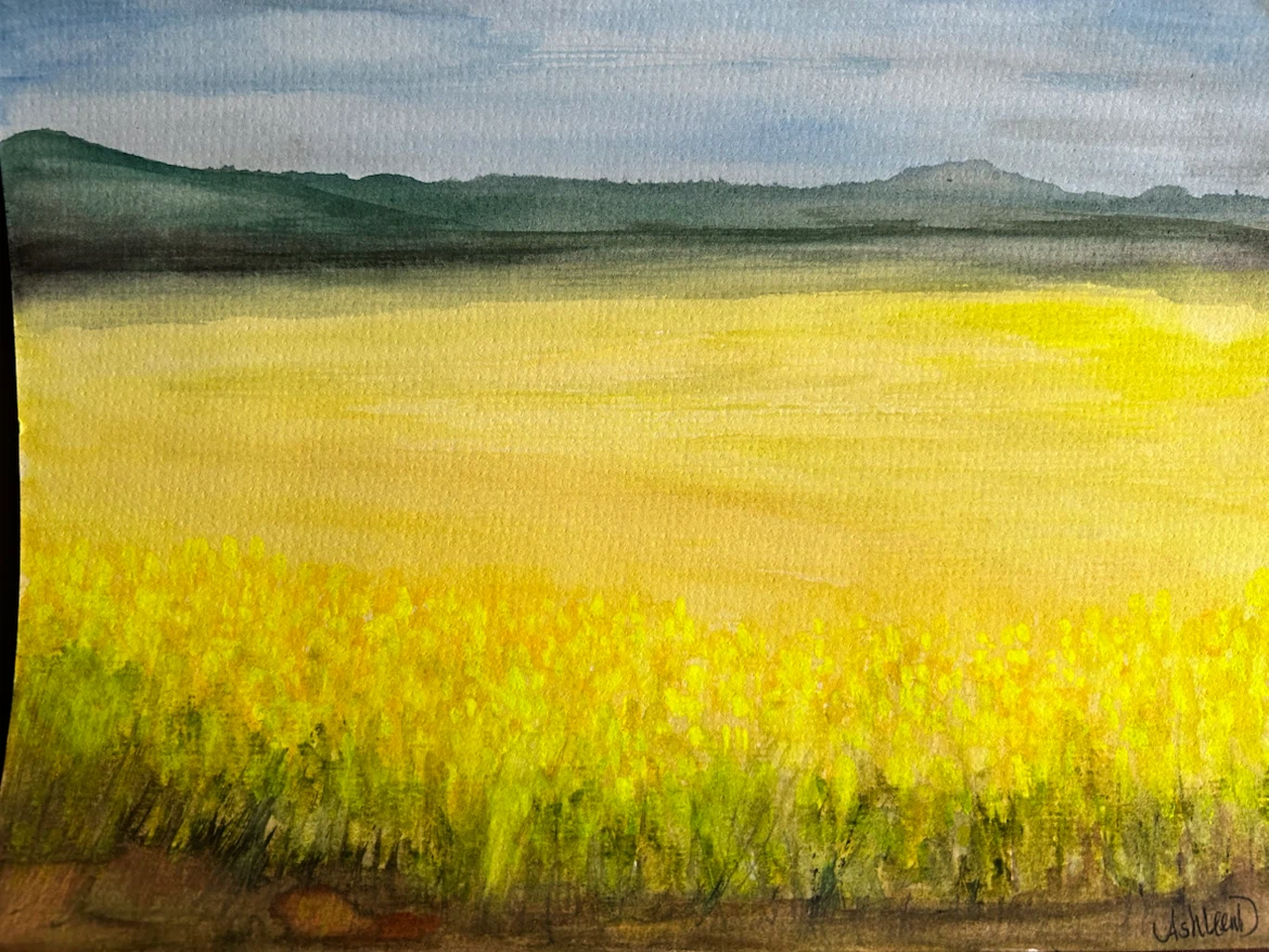 Original Watercolor Painting of Canola Field - photo 2