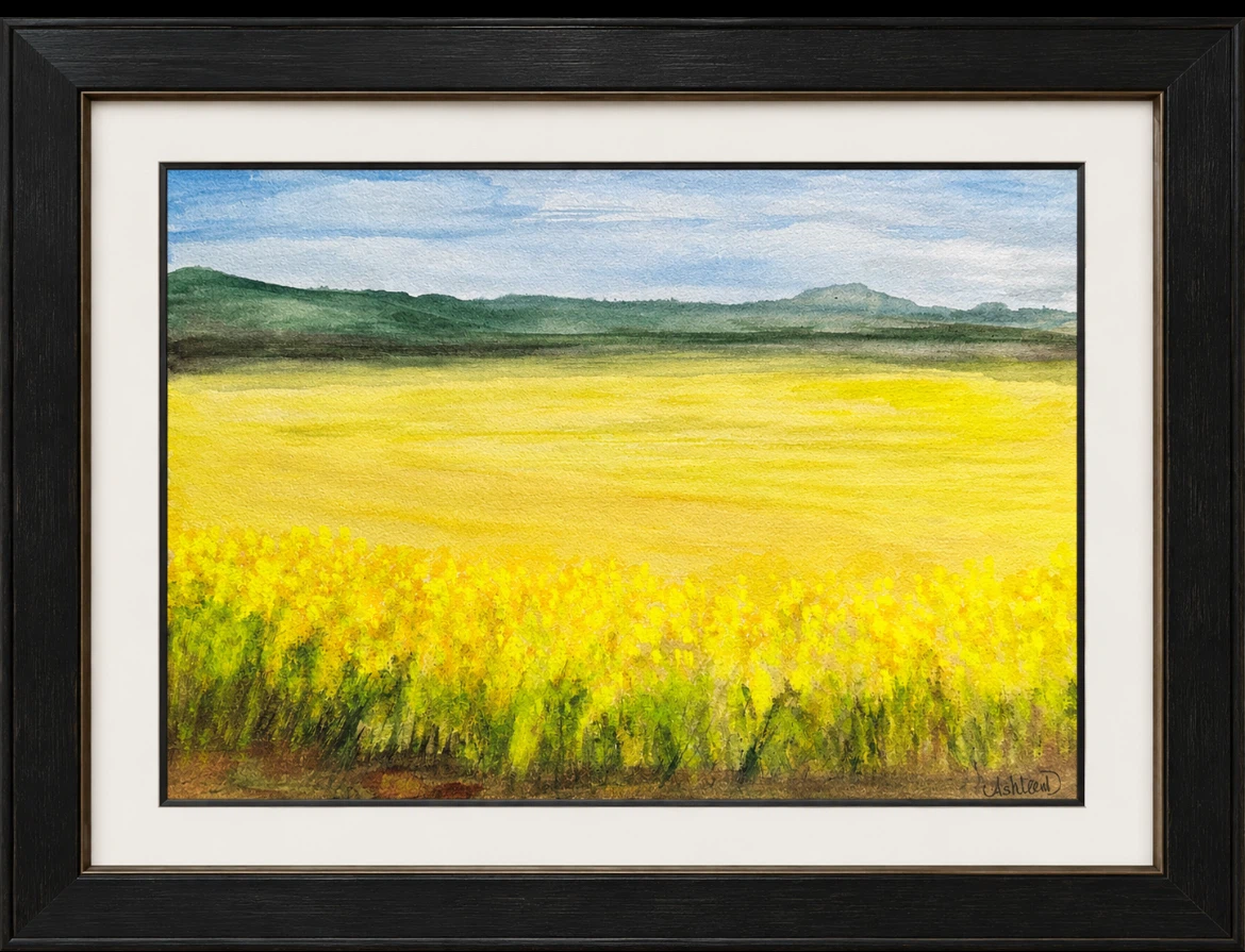 Original Watercolor Painting of Canola Field - photo 3