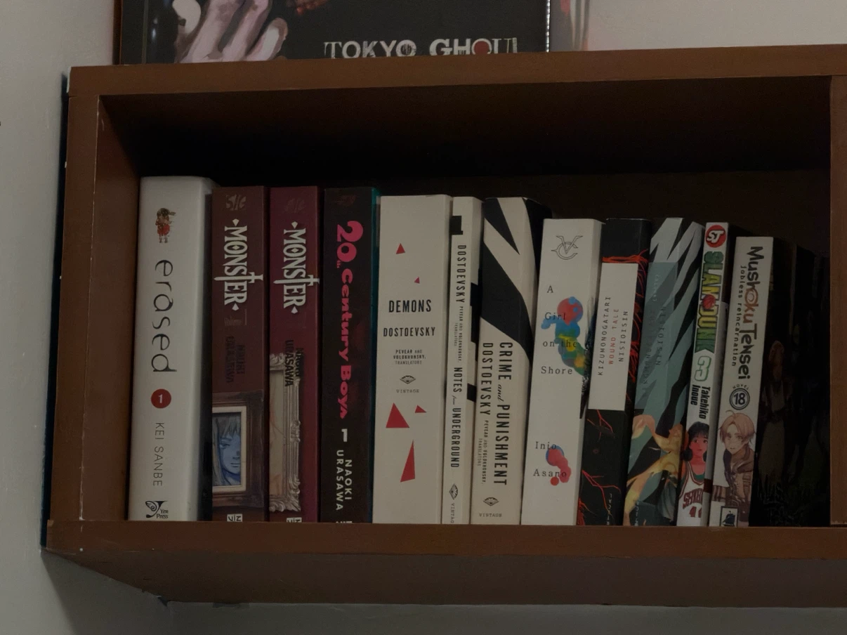 Manga lot