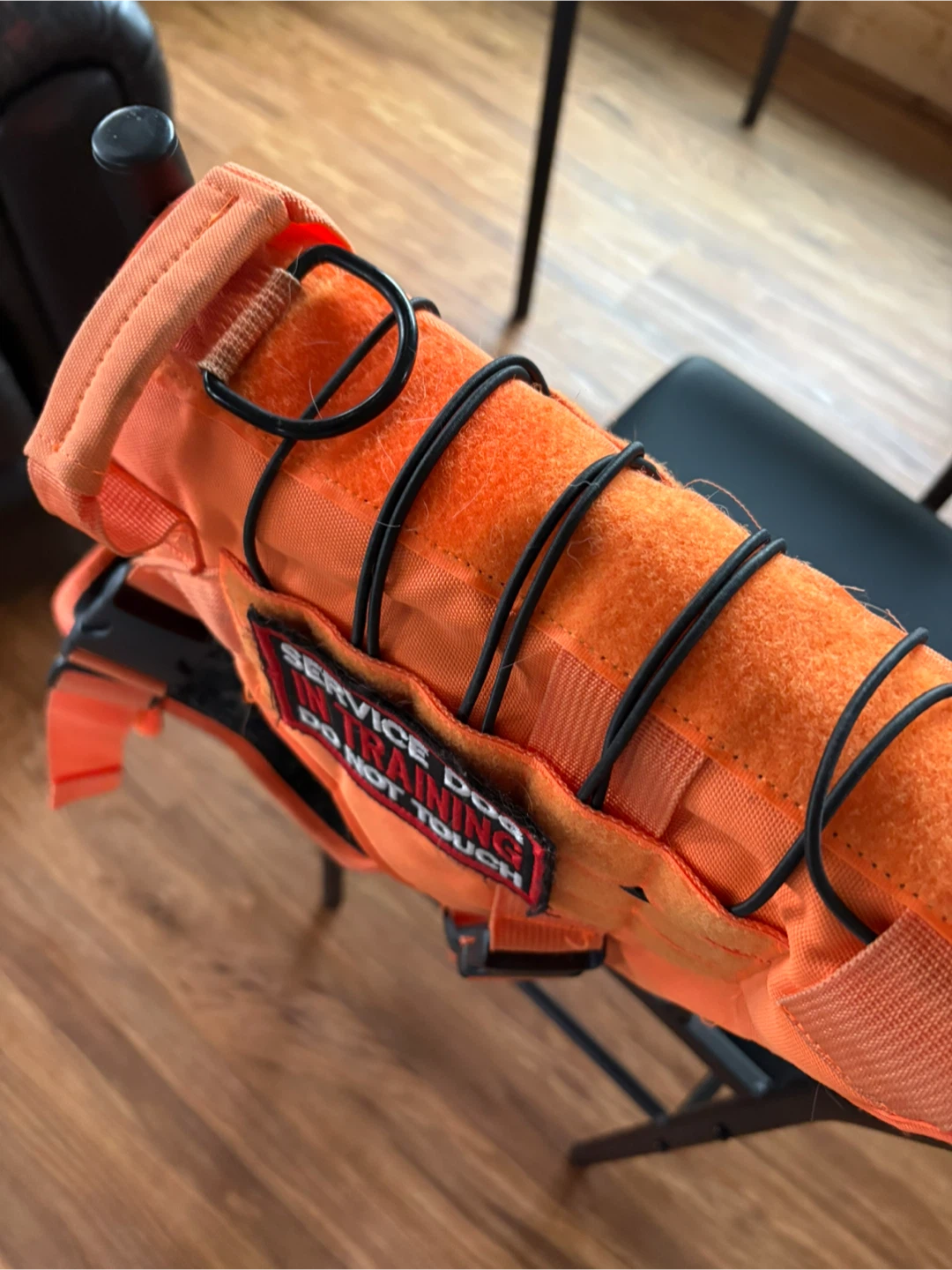 Orange Service Dog in Training Harness - photo 3